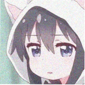网友头像