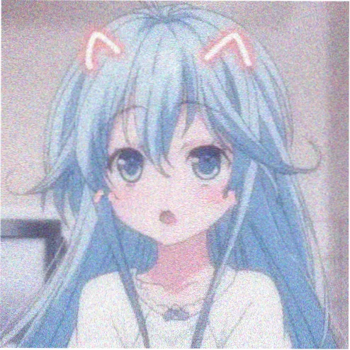 网友头像